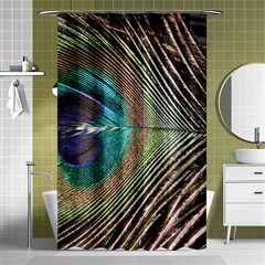 Peacock Shower Curtain 48  X 72  (small)  by StarvingArtisan