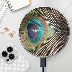 Peacock Wireless Charger by StarvingArtisan