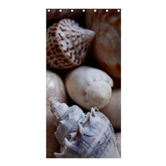 Beautiful Seashells  Shower Curtain 36  X 72  (stall)  by StarvingArtisan