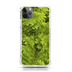 Botanical Motif Plants Detail Photography Iphone 11 Pro Max 6 5 Inch Tpu Uv Print Case by dflcprintsclothing