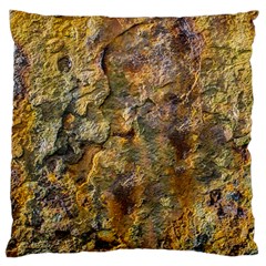 Rusty Orange Abstract Surface Standard Premium Plush Fleece Cushion Case (one Side) by dflcprintsclothing