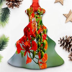 Gathering Sping Flowers  Ornament (christmas Tree)  by artworkshop