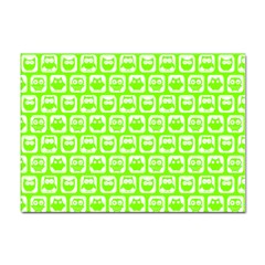 Lime Green And White Owl Pattern Sticker A4 (10 Pack) by GardenOfOphir