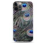 Peacock Feathers Peacock Bird Feathers iPhone 12 Pro max TPU UV Print Case Front