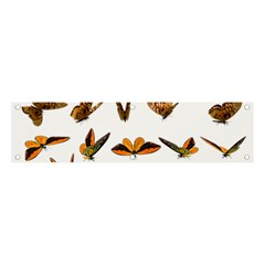 Butterfly Butterflies Insect Swarm Banner And Sign 4  X 1  by Salman4z