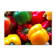 Colorful Capsicum Sticker A4 (10 Pack) by Sparkle