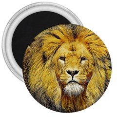 Lion Lioness Wildlife Hunter 3  Magnets by Mog4mog4