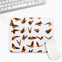 Butterfly Butterflies Insect Swarm Small Mousepad by 99art