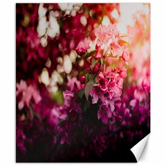 Pink Flower Canvas 8  X 10  by artworkshop