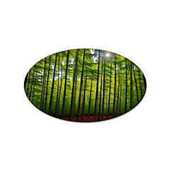 Green Forest Jungle Trees Nature Sunny Sticker Oval (100 Pack) by Ravend