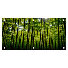 Green Forest Jungle Trees Nature Sunny Banner And Sign 6  X 3  by Ravend