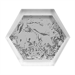 Colorful Aquatic Life Wall Mural Hexagon Wood Jewelry Box by Proyonanggan