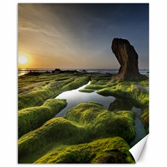 Coast Algae Sea Beach Shore Canvas 16  X 20  by Sarkoni