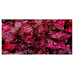 Red Leaves Plant Nature Leaves Banner And Sign 8  X 4  by Sarkoni