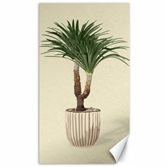 Tree Vector Art In A Flower Pot Canvas 40  X 72  by Sarkoni