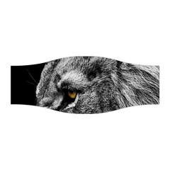 Angry Male Lion Roar Wild Animal Stretchable Headband by Cendanart