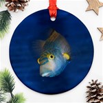 Fish Blue Animal Water Nature Ornament (Round) Front