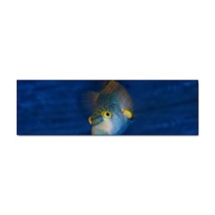 Fish Blue Animal Water Nature Sticker Bumper (100 Pack) by Hannah976