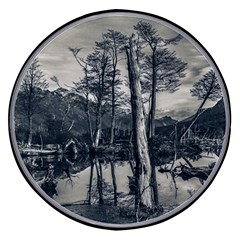 Dry Forest Landscape, Tierra Del Fuego, Argentina Wireless Fast Charger(black) by dflcprintsclothing