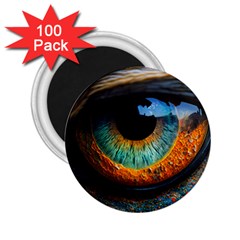 Eye Bird Feathers Vibrant 2 25  Magnets (100 Pack)  by Hannah976