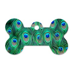 Feather, Bird, Pattern, Peacock, Texture Dog Tag Bone (two Sides) by nateshop