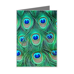 Peacock Feathers, Bonito, Bird, Blue, Colorful, Feathers Mini Greeting Card by nateshop