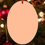 Peach Fuzz 2024 UV Print Acrylic Ornament Oval Front