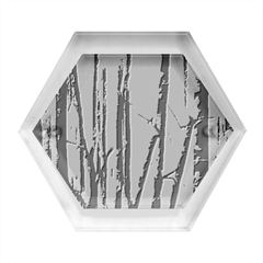 Woodland Woods Forest Trees Nature Outdoors Mist Moon Background Artwork Book Hexagon Wood Jewelry Box by Grandong