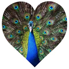 Peacock Bird Feathers Pheasant Nature Animal Texture Pattern Wooden Puzzle Heart by Bedest