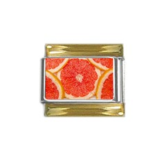 Grapefruit-fruit-background-food Gold Trim Italian Charm (9mm) by Maspions