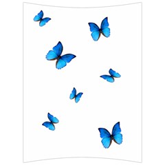 Butterfly-blue-phengaris Back Support Cushion by saad11