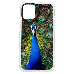 Peacock Bird Feathers Pheasant Nature Animal Texture Pattern Iphone 12 Mini Tpu Uv Print Case	 by Bedest