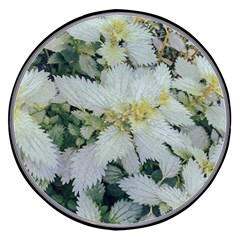 Enchanting Foliage Sharp Edged Leaves In Pale Yellow And Silver Bk Wireless Fast Charger(black) by dflcprintsclothing