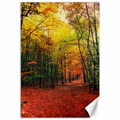 Forest Woods Autumn Nature Canvas 12  X 18  by Proyonanggan