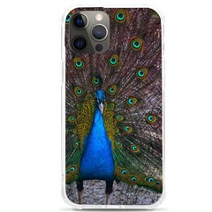 Bird Peacock Feathers Iphone 12 Pro Max Tpu Uv Print Case by Perong