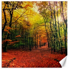 Forest Woods Autumn Nature Canvas 12  X 12  by Proyonanggan