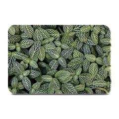 Leaves Foliage Botany Plant Plate Mats by Maspions