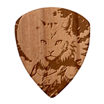 Epic Armored Cat Warrior Wood Guitar Pick (Set of 10) Front