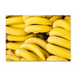 Bananas, Macro, Fruits, Ripe Bananas Sticker A4 (100 pack) Front